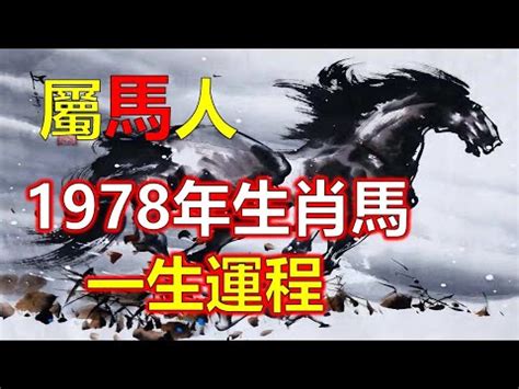 1978屬馬女2023年運勢換工作|屬馬女2023換工機會